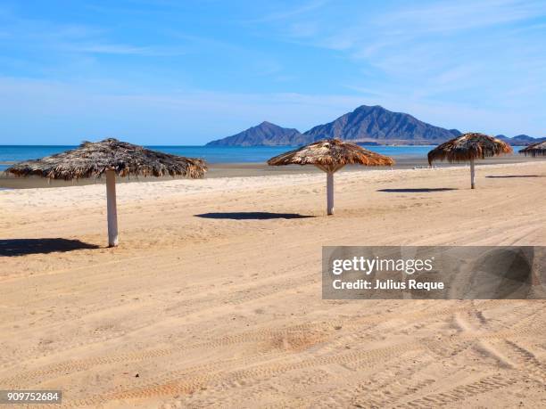 on the beach - mexicali stockfoto's en -beelden