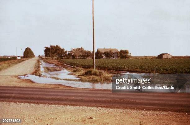 Photograph of run-off irrigation water from a field collected in a roadside ditch in Texas, a site relevant for the CDC investigation of vector-borne...