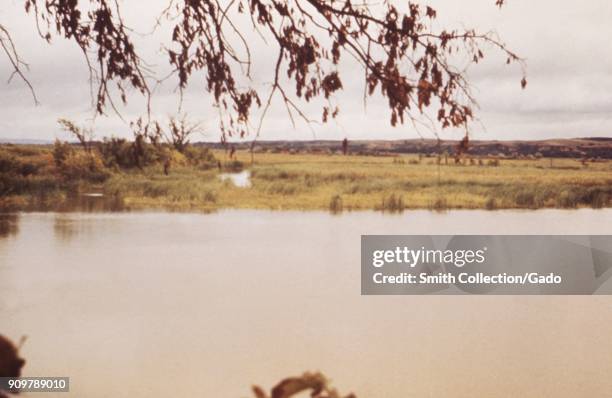 Landscape photograph of marshes at the edge of a lake reservoir, with a tree branch visible in the foreground and distant hills in the background,...