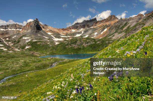 hillside of wildflowers in mountains with a lake - san juan mountains stockfoto's en -beelden