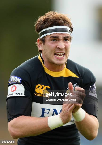 Danny Cirpriani of Wasps encourages his players during the Guinness Premiership match between London Wasps and Worcester Warriors at Adams Park...