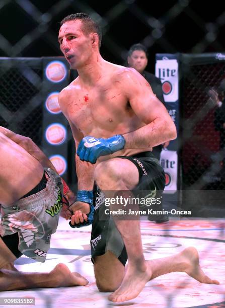 Ufc Rory 928 Rory Macdonald Ufc Photos & High Res Pictures - Getty Images