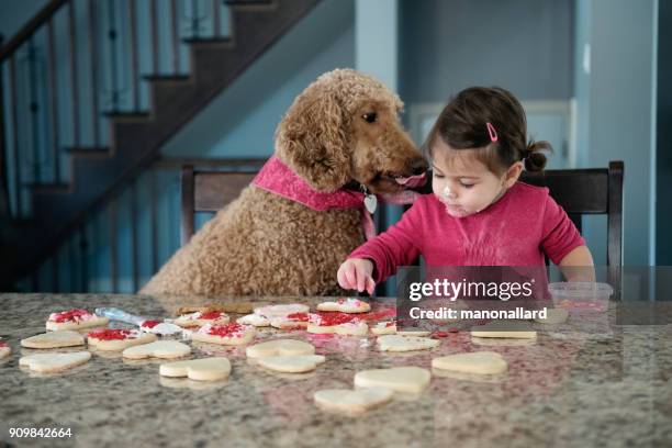 sweet little girl with her dog in the kitchen - animal activity stock pictures, royalty-free photos & images