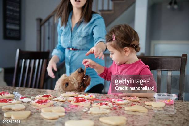süße kleine mädchen mit ihrem hund in der küche - dog eats out girl stock-fotos und bilder