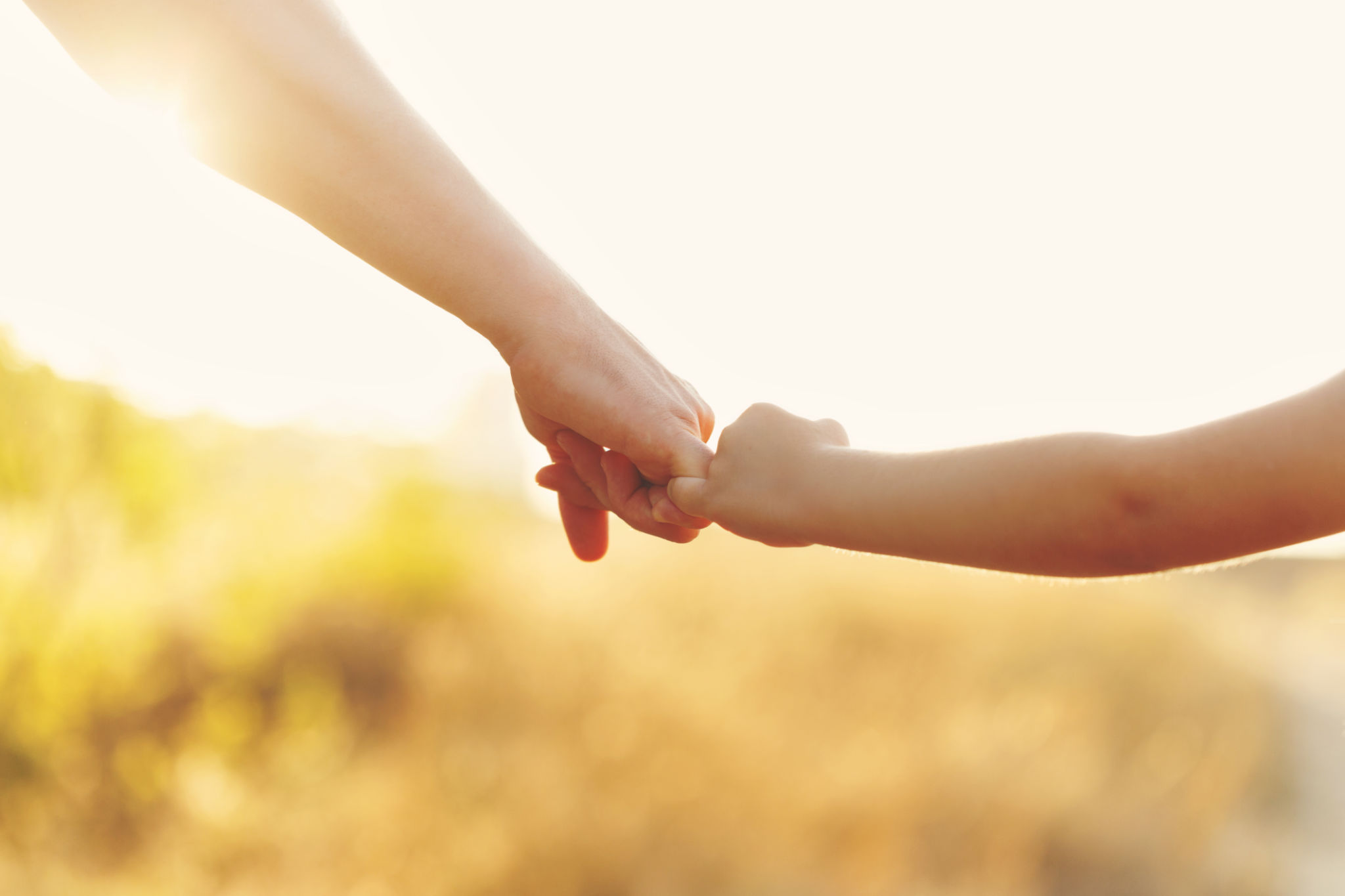 father child support
