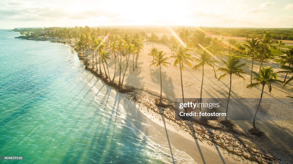 Baigné dans la lumière du soleil
