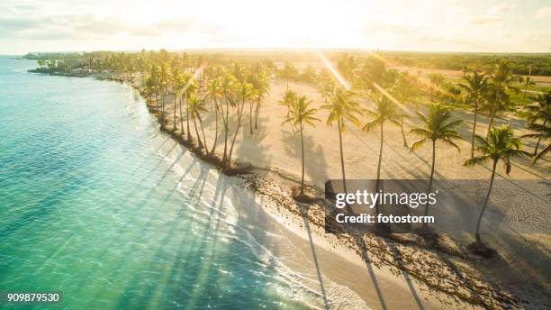 baadt in het zonlicht - punta cana stockfoto's en -beelden