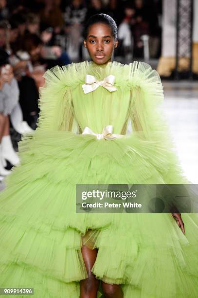 Tami Williams walks the runway during the Giambattista Valli Spring Summer 2018 show as part of Paris Fashion Week on January 22, 2018 in Paris,...