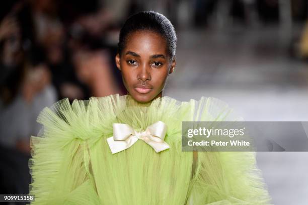 Tami Williams walks the runway during the Giambattista Valli Spring Summer 2018 show as part of Paris Fashion Week on January 22, 2018 in Paris,...