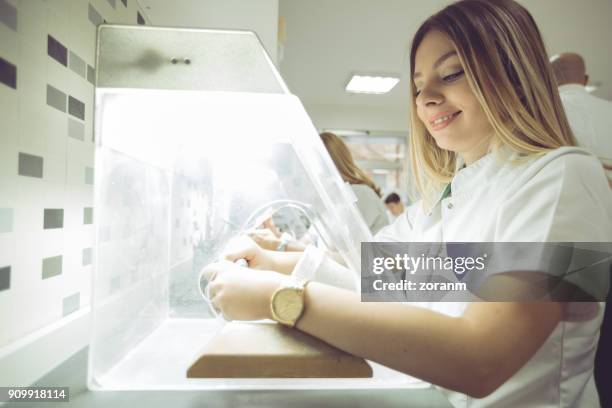 female dental technician making dental prosthesis - crown moulding stock pictures, royalty-free photos & images