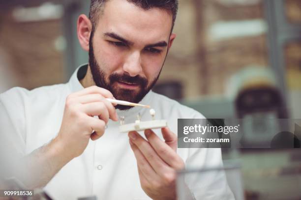 painting ceramic crowns - implant stock pictures, royalty-free photos & images