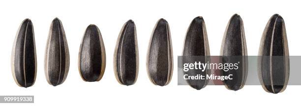 sunflower seeds on white background - sonnenblumenkern stock-fotos und bilder