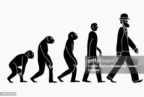 from so simple beginning ... - early homo sapiens stock illustrations