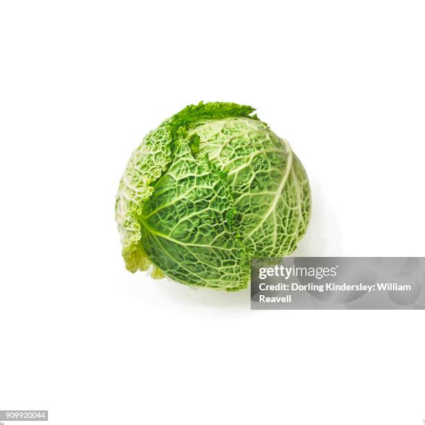 savoy cabbage - neals yard stock pictures, royalty-free photos & images