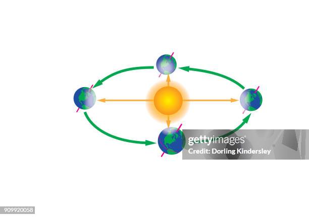 seasons - southern hemisphere stock illustrations