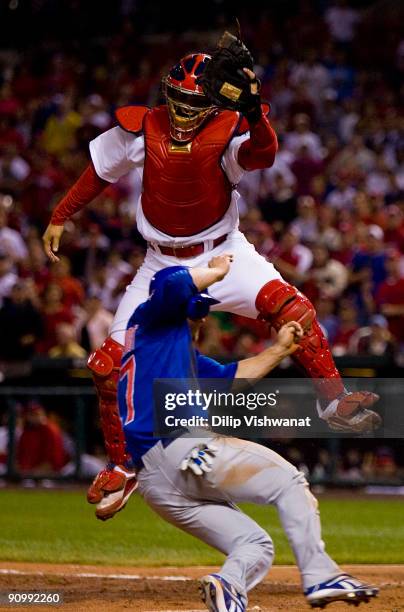 Mike Fontenot of the Chicago Cubs scores a run against Yadier Molina of the St. Louis Cardinals on September 20, 2009 at Busch Stadium in St. Louis,...