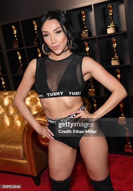 Adult film actress Vicki Chase appears at Greg Lansky's Blacked, Tushy and Vixen adult studios booth at the 2018 AVN Adult Entertainment Expo at the...