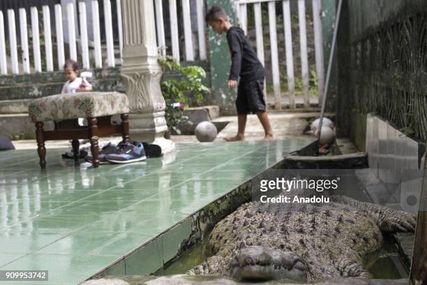 Children play beside a domesticated crocodile in a small pool in Bogor, Indonesia on January 22, 2018. Irwan found it as a baby and now it has been...