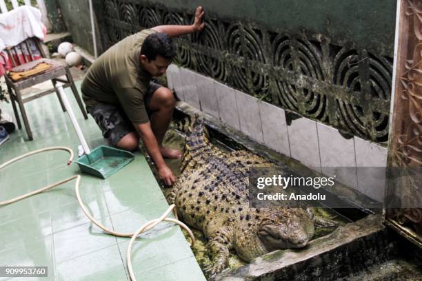 Irwan bathes a domesticated crocodile at his house in Bogor, Indonesia on January 22, 2018. Irwan found it as a baby and now it has been living with...