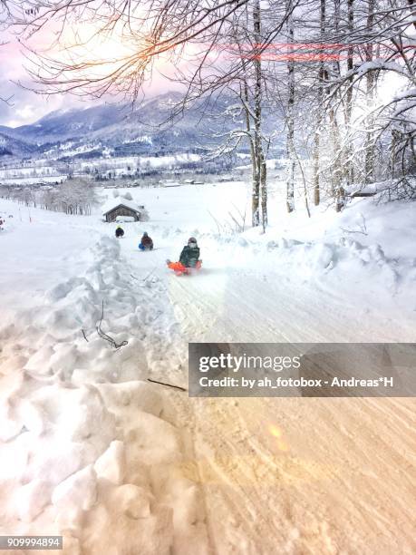 sledding downhill in winter landscape with lots of snow in the bavarian alps, lenggries germany - garmisch ski stock pictures, royalty-free photos & images