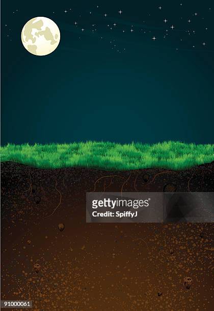 wordly contrast (night) - soil cross section stock illustrations