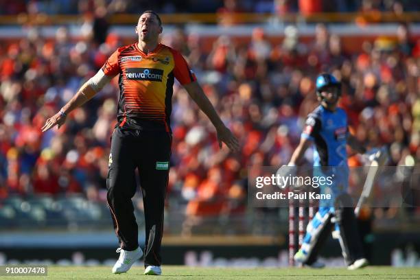 Tim Bresnan of the Scorchers celebrates the wicket of Jonathan Wells of the Strikers during the Big Bash League match between the Perth Scorchers and...