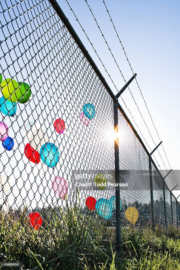 Chain Link Fence with Balloons