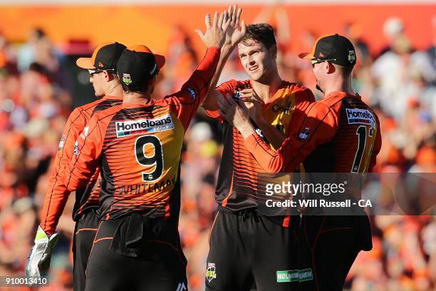 Matthew Kelly of the Scorchers celebrates after taking the wicket of Jake Weatherald of the Strikers during the Big Bash League match between the...