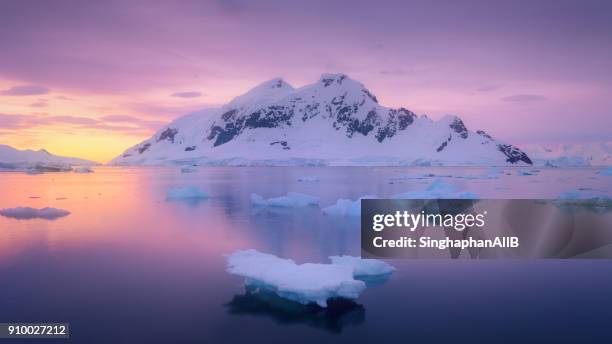 ice glacier floating in the lagoon with the snowcapped mountain sunset at antarctica - antarktiska halvön bildbanksfoton och bilder
