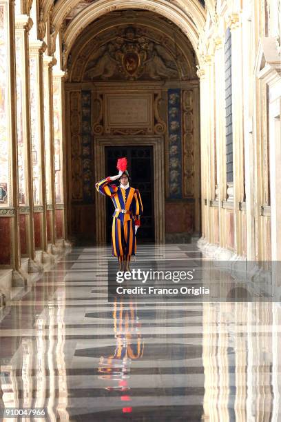 Swiss guard at the second lodge of the Apostolic Palace during a meeting with Pope Francis and President of the Central African Republic Faustin...