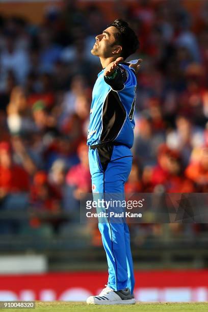 Rashid Khan of the Strikers celebrates the wicket of Hilton Cartwright of the Scorchers during the Big Bash League match between the Perth Scorchers...