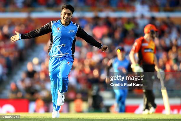 Rashid Khan of the Strikers celebrates the wicket of Ashton Turner of the Scorchers during the Big Bash League match between the Perth Scorchers and...