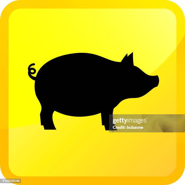 pig. - pigs tail stock illustrations