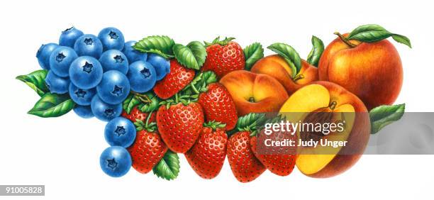 ilustraciones, imágenes clip art, dibujos animados e iconos de stock de assortment of fresh fruit - judy unger