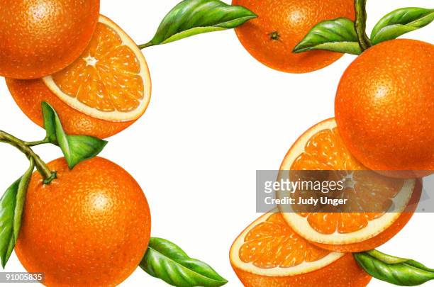 oranges - orange frucht stock-grafiken, -clipart, -cartoons und -symbole