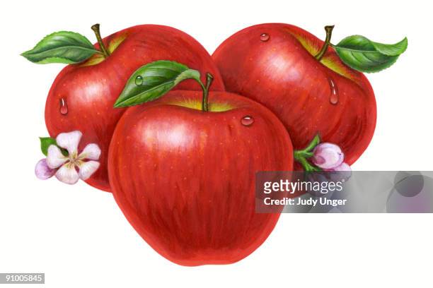 apples - apple cut out stock illustrations