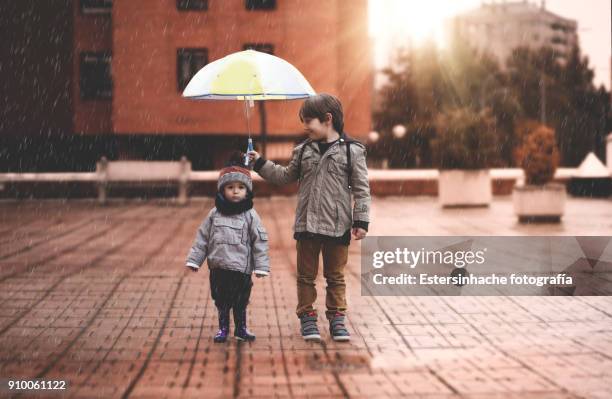 a little boy and his older brother protect themselves from the rain with an umbrella, in the city - protection foto e immagini stock