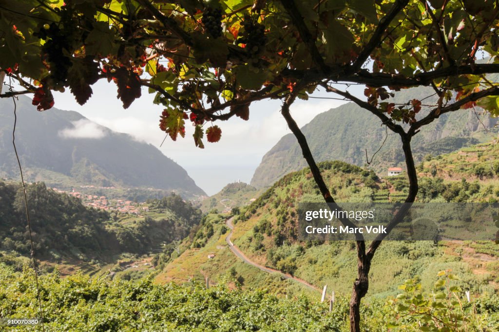 Idyllic view of green landscape and mountains, Sao Vicente, Madeira, Portugal