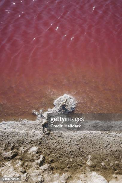 directly above view of pink water at salt flat - camargue photos et images de collection