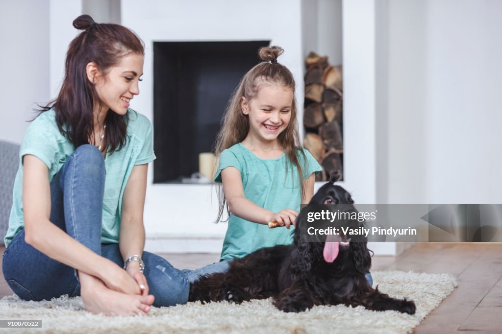 Smiling mother looking at daughter brushing dog hair in living room at home