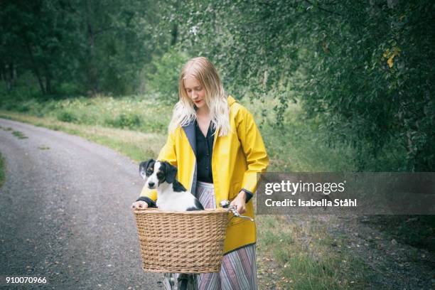 woman holding bicycle with dog in basket on dirt road at forest - basket stock-fotos und bilder