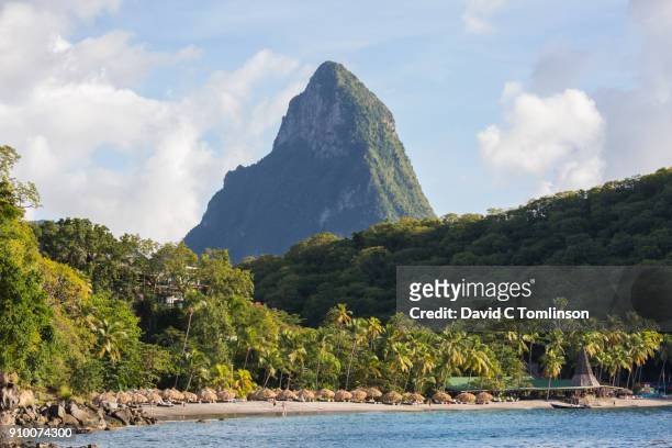 view across palm-fringed anse chastanet to the towering profile of petit piton, soufriere, st lucia - pitons stock-fotos und bilder