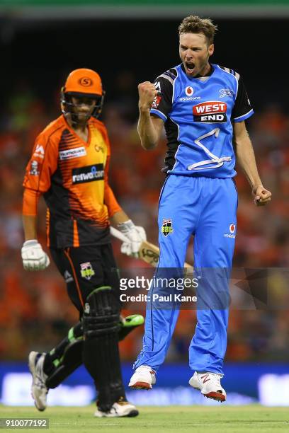 Ben Laughlin of the Strikers celebrates the wicket of Ashton Agar of the Scorchers during the Big Bash League match between the Perth Scorchers and...