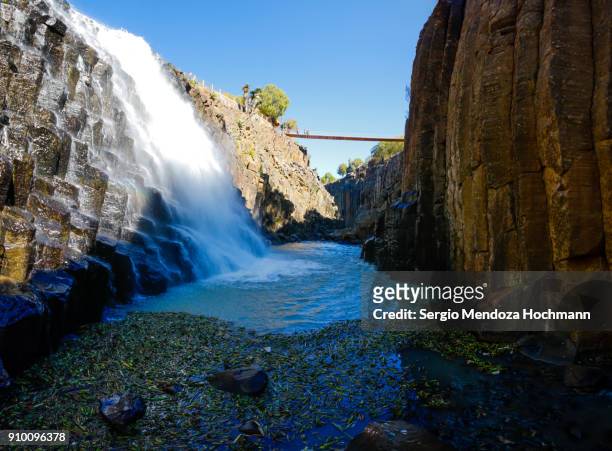 59 fotos e imágenes de Huasca - Getty Images