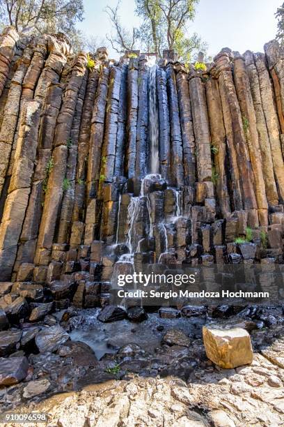 59 fotos e imágenes de Huasca - Getty Images 59 fotos e imágenes de Huasca - Getty Images