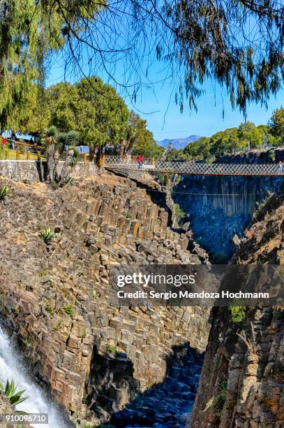 59 fotos e imágenes de Huasca - Getty Images 59 fotos e imágenes de Huasca - Getty Images