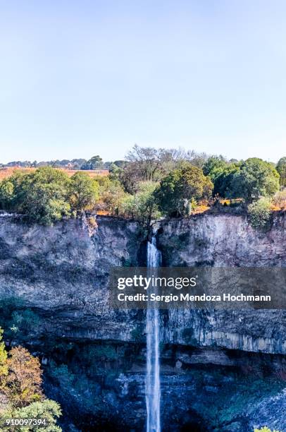 59 fotos e imágenes de Huasca - Getty Images 59 fotos e imágenes de Huasca - Getty Images