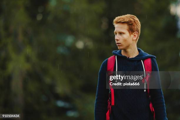 avventure sulle dolomiti: ragazzo dai capelli rossi - parco naturale puez odle foto e immagini stock