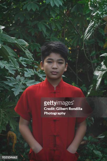 portrait of pre-adolescent boy in red with lush green foliage in the backgound - luisiana photos et images de collection