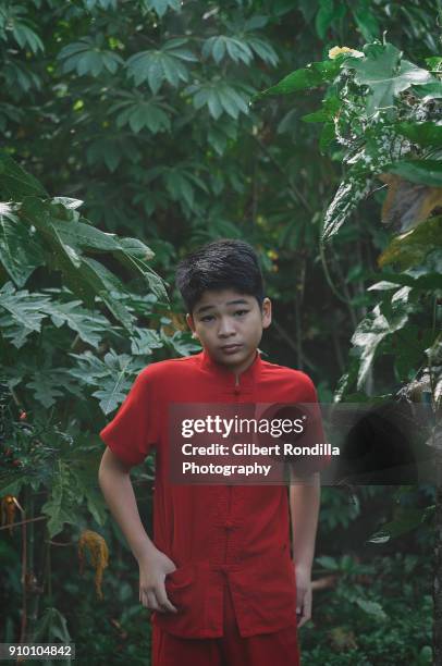 portrait of pre-adolescent boy in red with lush green foliage in the backgound - luisiana photos et images de collection